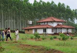 about-desia-koraput-3