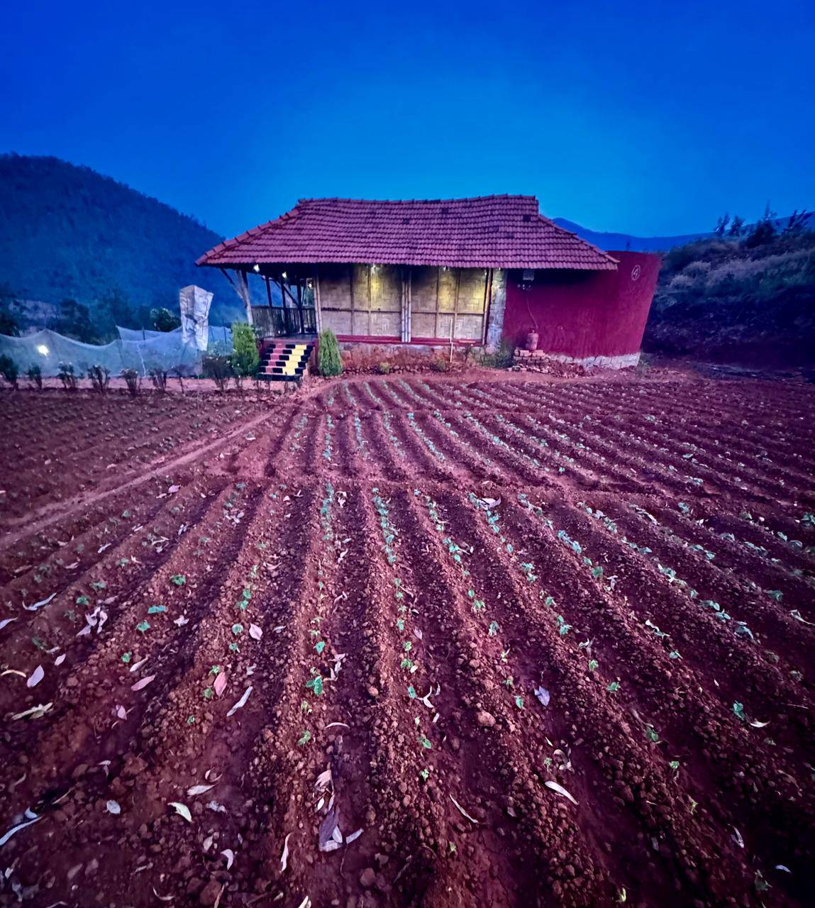 gallery-deomali-2